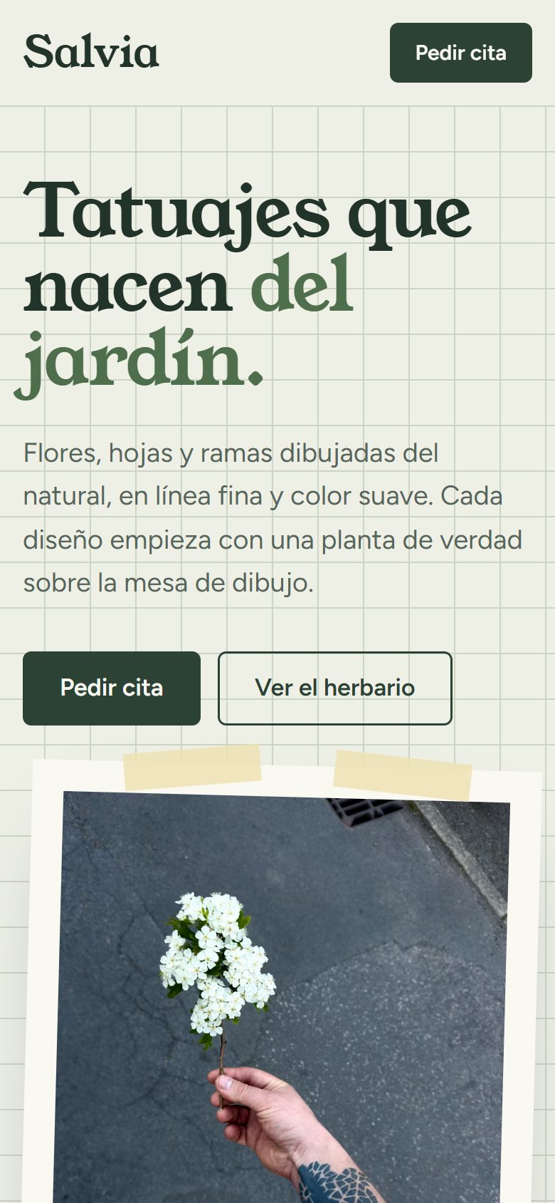 Demo de estudio botánico en el móvil